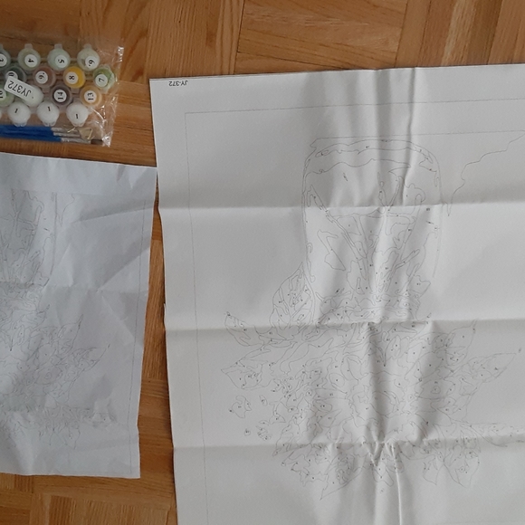 Paint by numbers set of 2each include hanging hooks paint and brushes - Picture 2 of 6